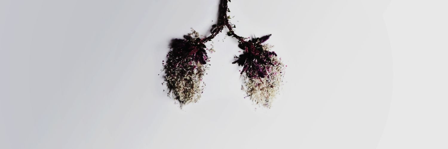 ccleopatrax's profile banner image