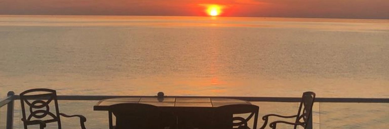 George Georgopoulos banner