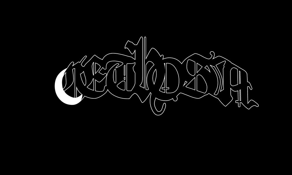 cethosia666's profile banner image