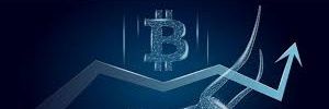 CryptoDmnte's profile banner image