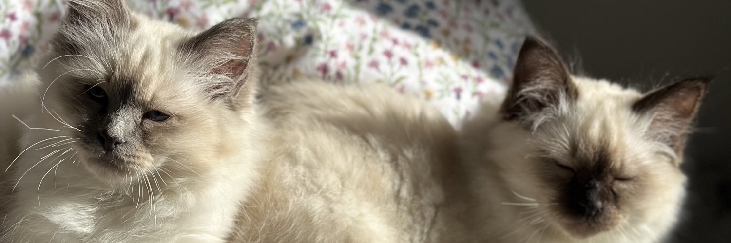 cassandrews 🇦🇺🏡 banner