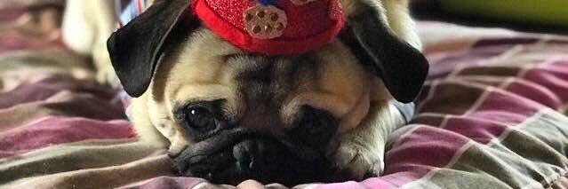 Billy_Gomez's profile banner image