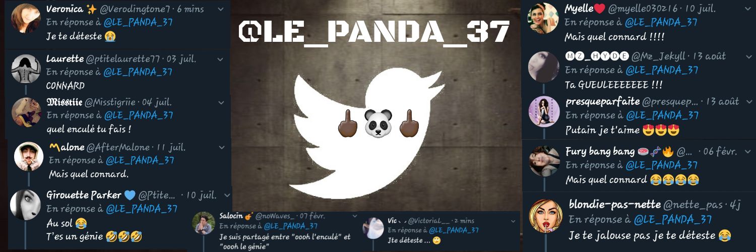 LE_PANDA_37's profile banner image