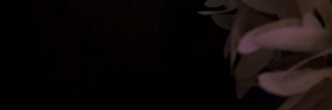 rkk379's profile banner image