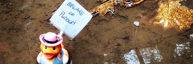 Jordan Shearer banner