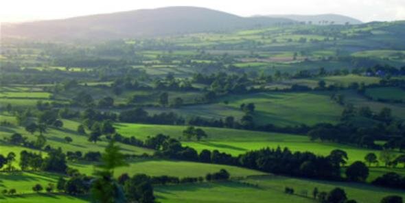 ShropsBizHour's profile banner image