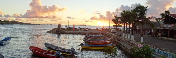 ariadnamecho Profile Banner