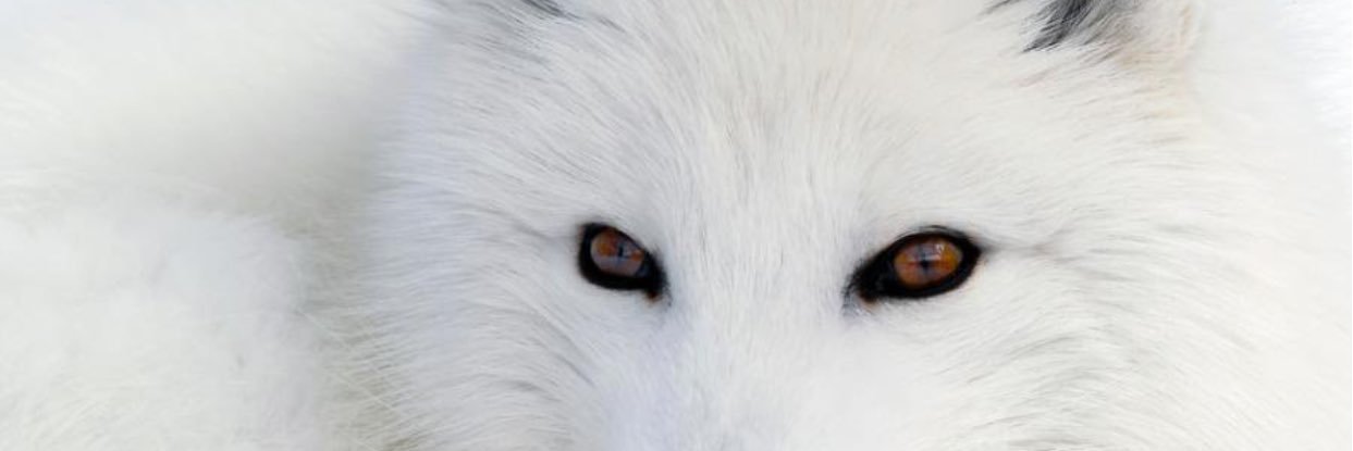 duloxmemo's profile banner image