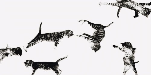 MITKYUNG's profile banner image