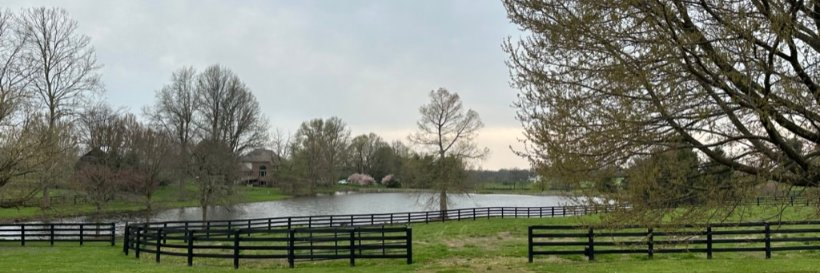 MichelePesulaKuegler banner