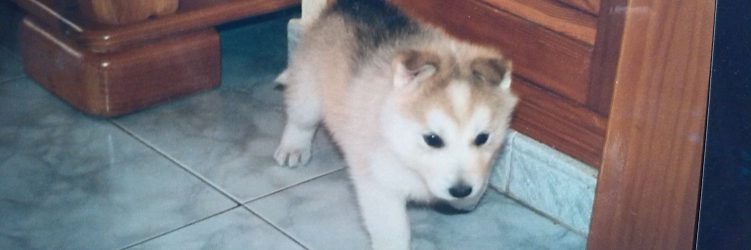 anacabmo's profile banner image
