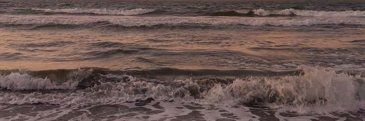 zelaryl's profile banner image