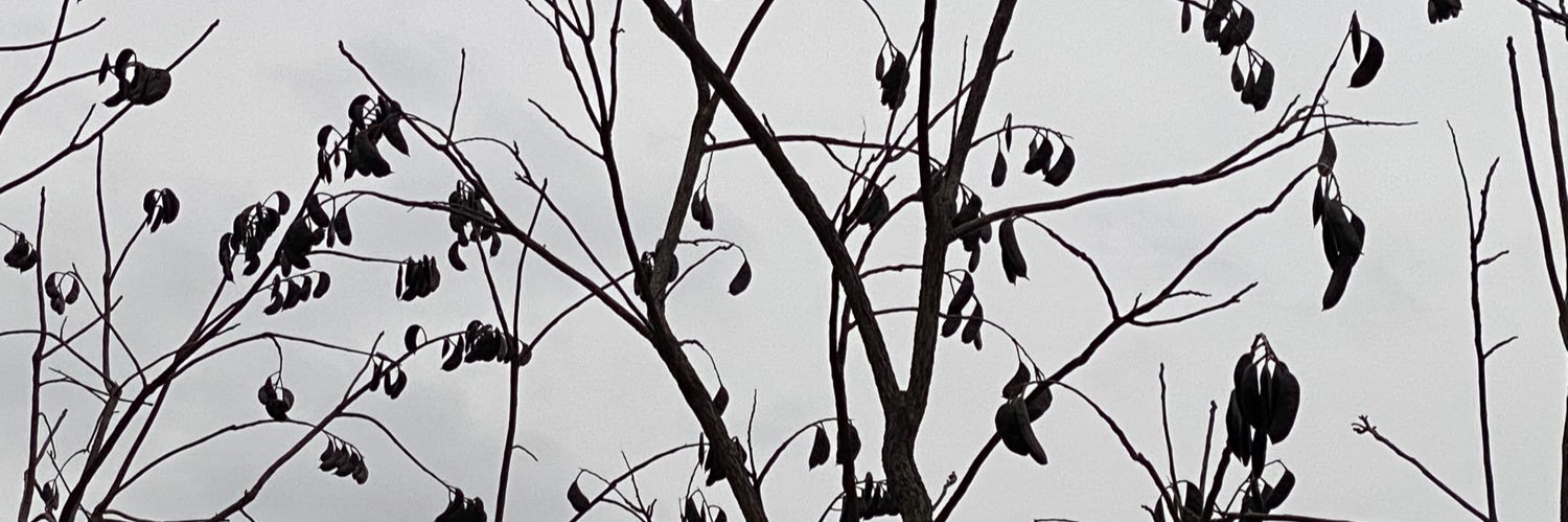 notdaraa's profile banner image
