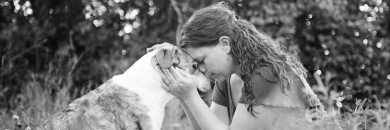 Extraviado banner