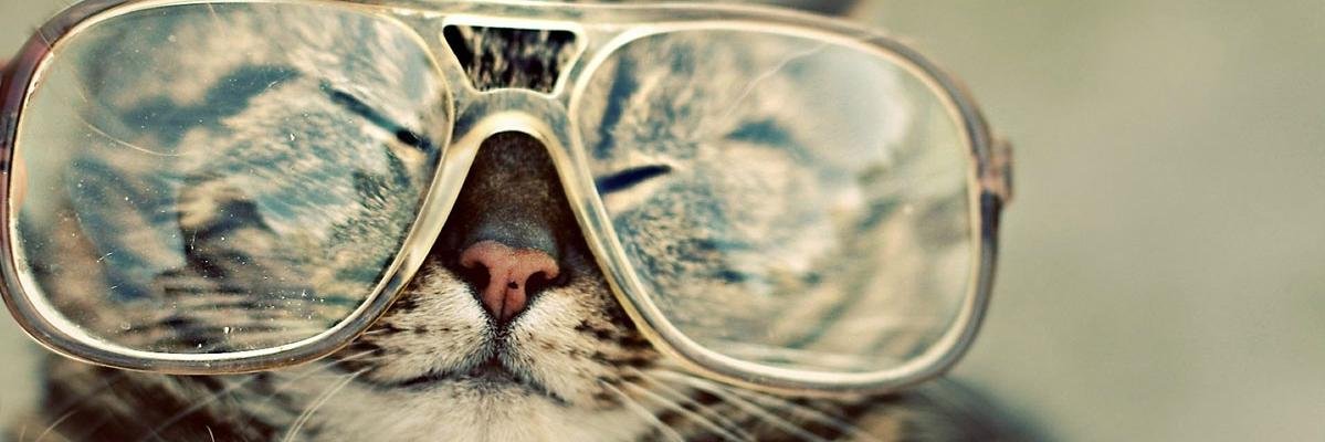 CatzWithGlasses's profile banner image