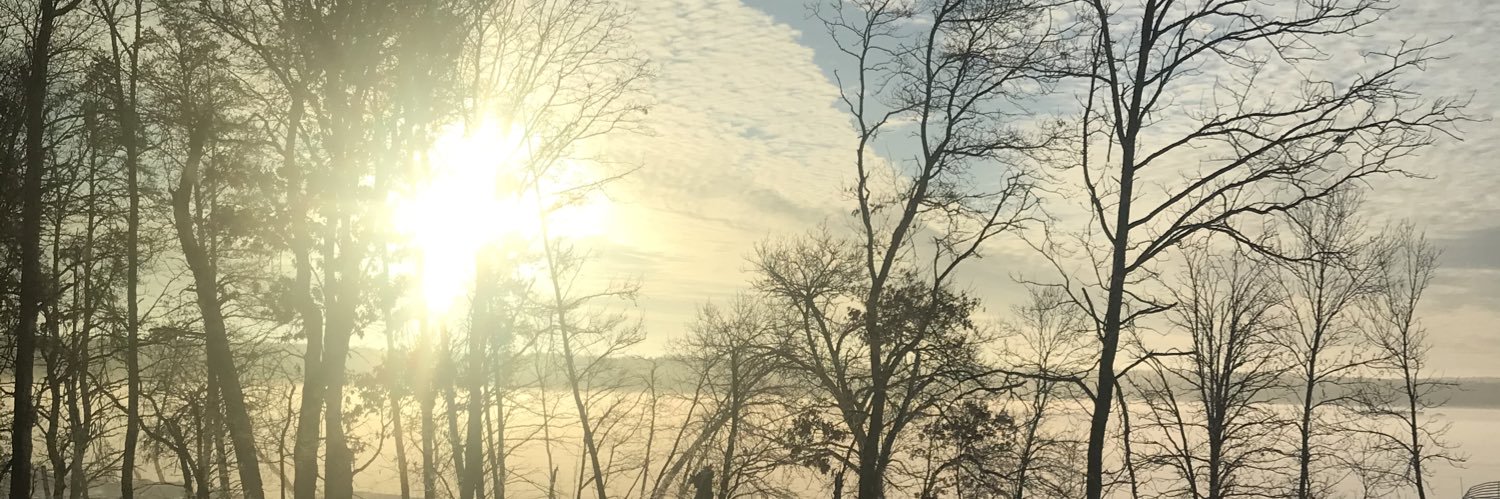 dgraunig's profile banner image