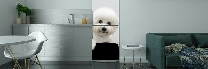 TICKY ⭐⭐⭐ banner