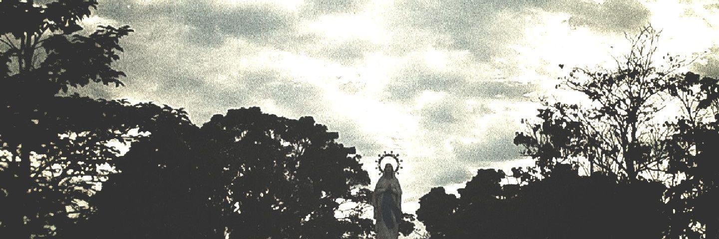 AlejandroMH31's profile banner image