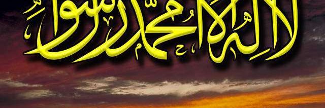 lailakamel's profile banner image