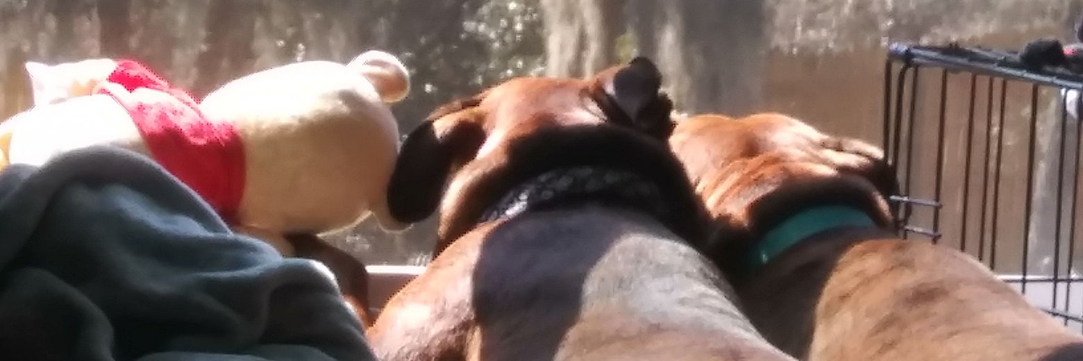 calhoun_leigh's profile banner image