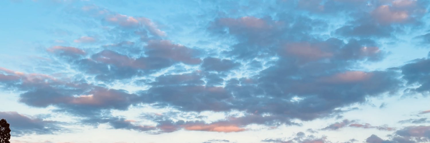 JackTorbet's profile banner image