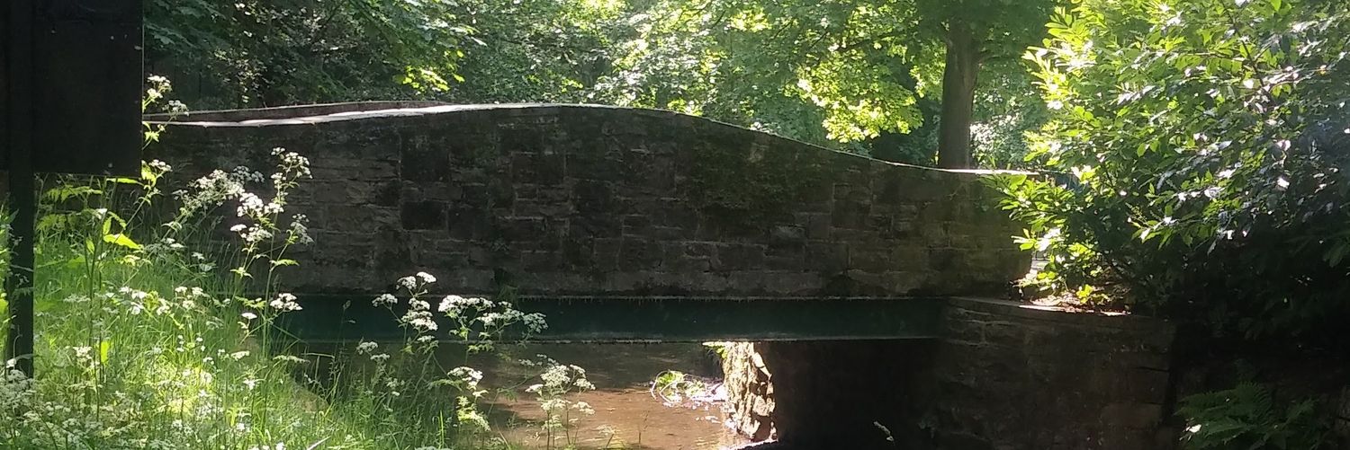 Tomsprblade's profile banner image
