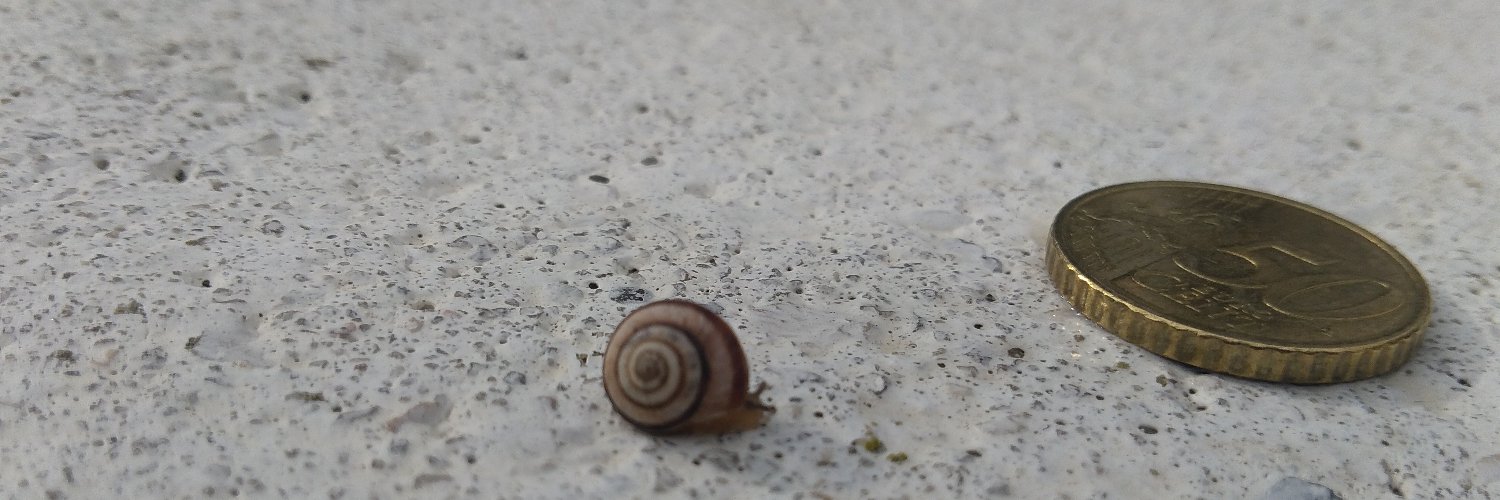 RarVib41's profile banner image