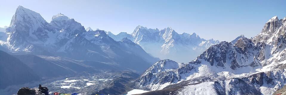 Cathy Williams banner