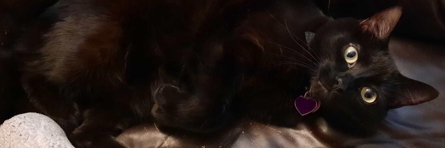 DwaynaDF's profile banner image