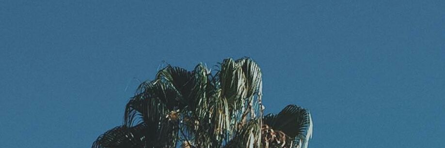SholanBooysen's profile banner image