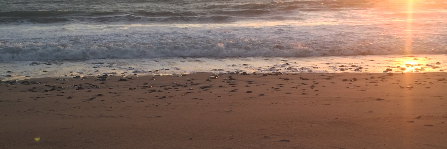 BrehmSamuel's profile banner image