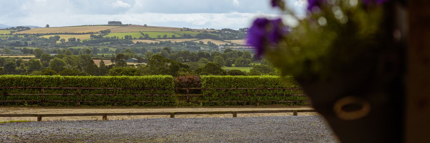 Fiona O'Dwyer banner