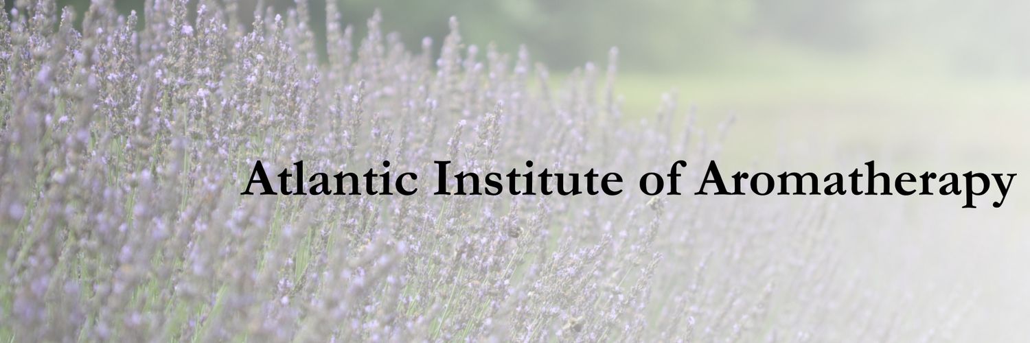 AtlanticInst's profile banner image