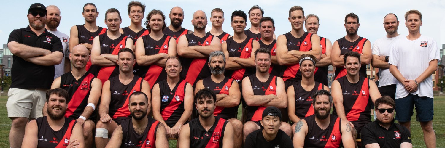 TorontoDingosFC's profile banner image