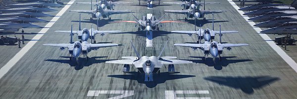 Ace Combat Wiki's banner