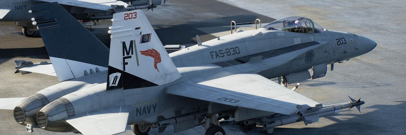 Ace Combat Wiki banner