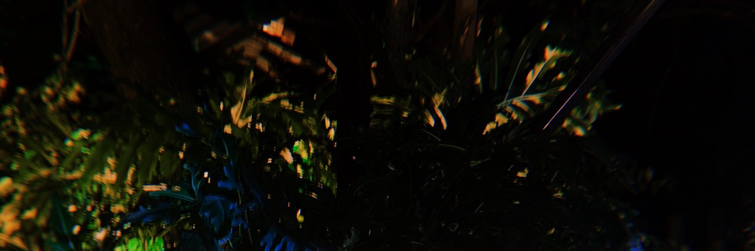 mpcarvalho___'s profile banner image