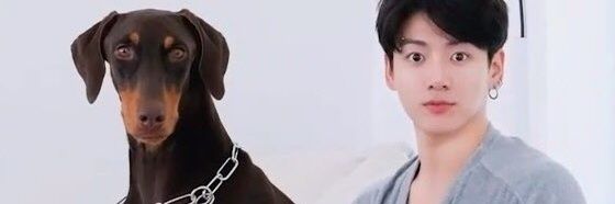 rafesimo's profile banner image