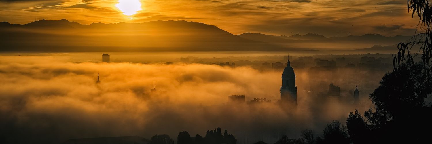 Francisco Mayorga 📷 banner