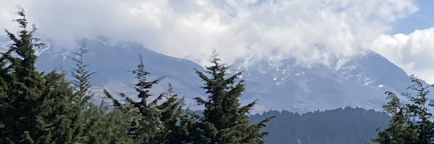 Dorian Algodón banner