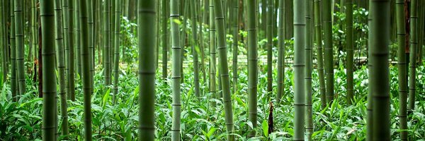 SpartacusUA Profile Banner