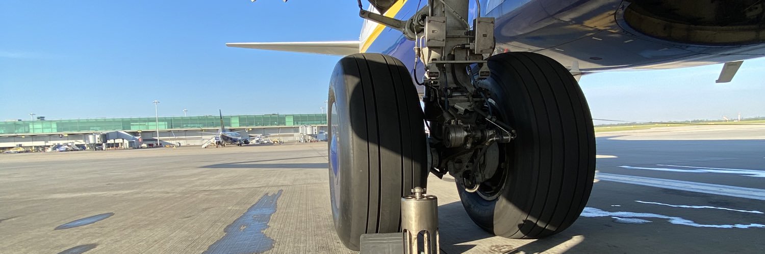 el mono blanco banner