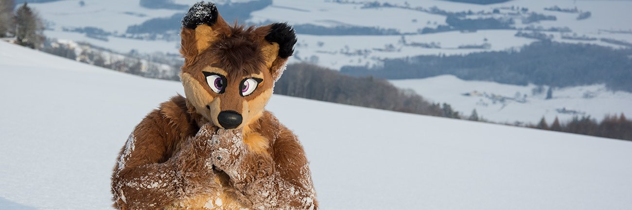 TessWolfy's profile banner image