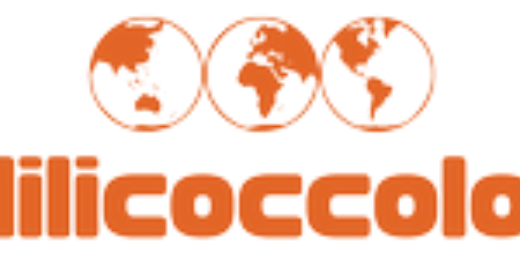 lilicoccolo's profile banner image