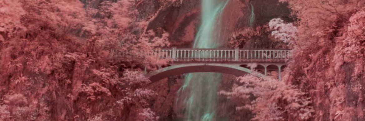 TheRealKiaraB's profile banner image