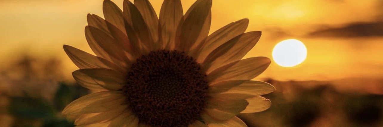 rharrison835's profile banner image