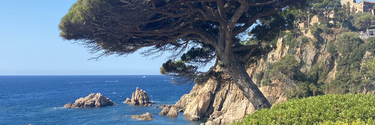 prvvvnn's profile banner image