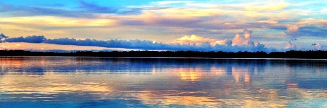 TheBearRealtor's profile banner image