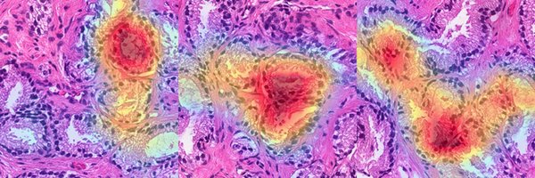 ProfCoreyArnold Profile Banner