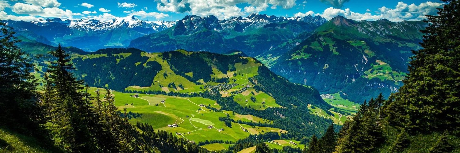 Przemek Pajor banner